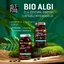 Diet-Food Bio Chlorella, таблетки, 375 шт.