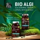 Diet-Food Bio Chlorella, таблетки, 375 шт.