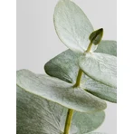 Sundose For Stress Relief, капсули, 30 шт. + 90 шт.: ціни та характеристики