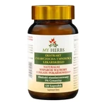 My Herbs Екстракт артишоку та кульбаби, капсули, 120 шт.: ціни та характеристики