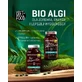 Diet-Food Bio Спирулина, таблетки, 375 шт.