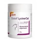 Dolvit Cat Lysine 70 г
