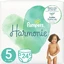 PAMPERS Harmonie Підгузки з наклейкою №5 11–16 кг, 24 шт.