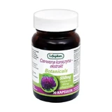 Lifeplan, Красный клевер — экстракт, капсулы, 30 шт.