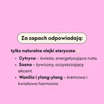 Mydlarnia 4 Szpaki, увлажняющий кондиционер для волос «Лопух и крыжовник», 300 мл: цены и характеристики