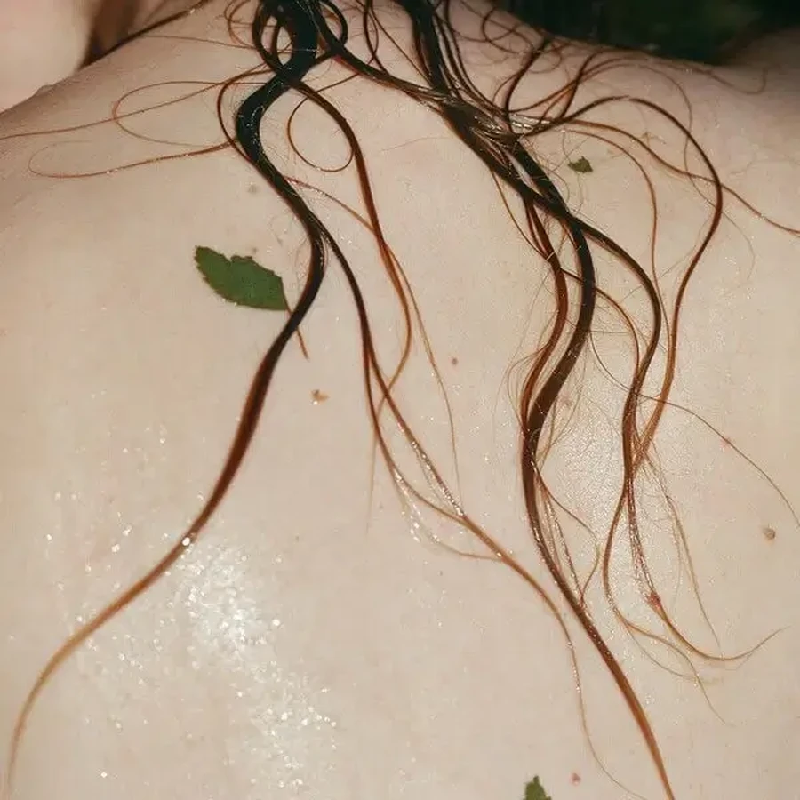 Madara Wild Woods Moisture Wash, гель для душа и мытья рук, 500 мл: цены и характеристики