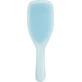 AMBITAS Tangle Teezer The Ultimate Detangler Large Fine & Fragile Seafoam Blue — ідеальна щітка для розчісування волосся, 1 шт.