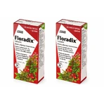 Floradix — железо и витамины, 2 x 84 таблетки: цены и характеристики