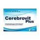 Cerebrovit plus, 24 капсулы