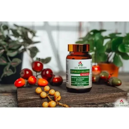 My Herbs Гінкго білоба Преміум, капсули, 120 шт.: ціни та характеристики