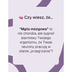 Biowen BrainFuel, твердые капсулы, 60 шт.: цены и характеристики
