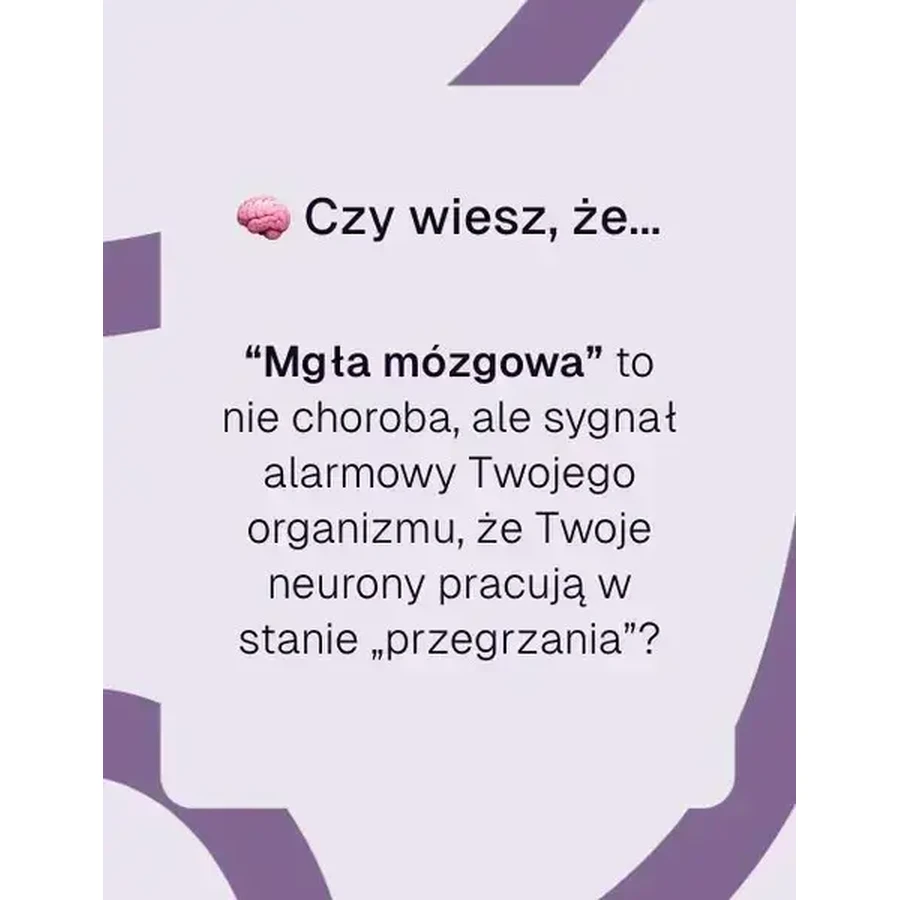 Biowen BrainFuel, твердые капсулы, 60 шт.: цены и характеристики