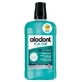 Alodont Care Ополіскувач для ротової порожнини Daily Freshness 500 мл