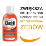 Набор Eludril Care, жидкость для ежедневной гигиены полости рта, 500 мл + Elgydium Anti Plaque, зубная паста, 75 мл: цены и характеристики