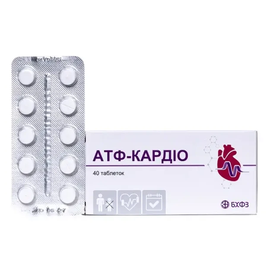 Атф-Кардио таблетки по 20 мг №40 (10х4): цены и характеристики