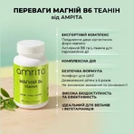 Магній В6 Теанін Amrita, 60 табл: ціни та характеристики