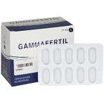 Гаммафертил таблетки, №60: ціни та характеристики