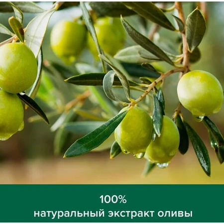 Гель-крем для душа Palmolive Натурель Интенсивное увлажнение, 250 мл: цены и характеристики