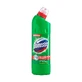 Універсальний засіб Domestos Хвойна Свіжість 24 години 500 мл