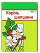 Шипшина