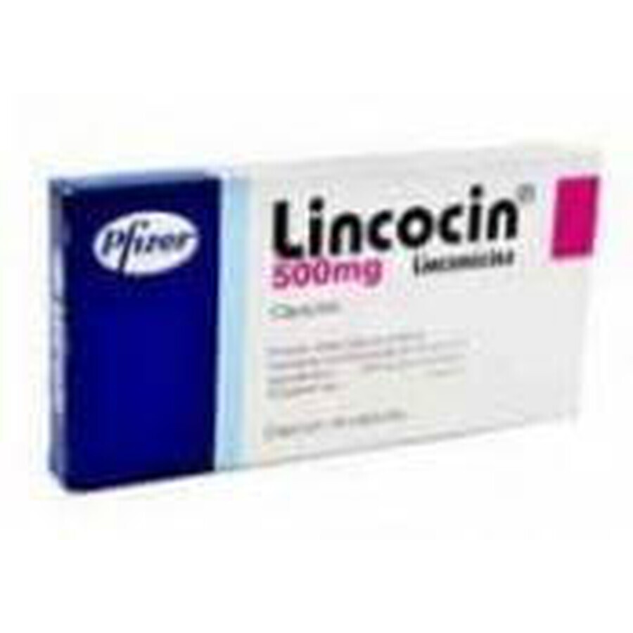 Линкоцин капс. 500 мг №20: цены и характеристики