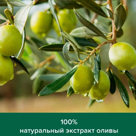 Жидкое мыло Palmolive Интенсивное увлажнение Оливковое молочко, 300 мл: цены и характеристики