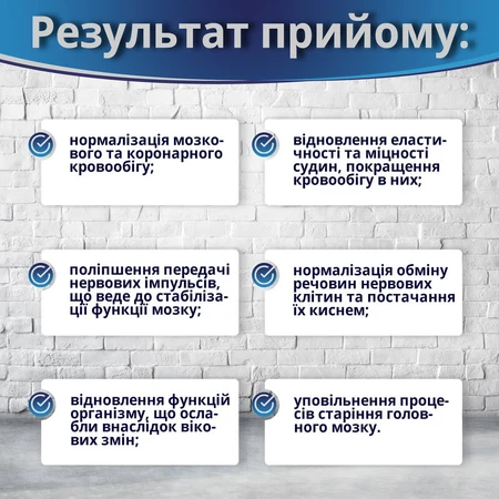МозгАктив капс. 250 мг №60 для нервової системи: ціни та характеристики