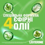 Ополіскувач для порожнини рота Listerine Зелений чай 500 мл: ціни та характеристики
