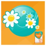 Підгузки Pampers Sleep & Play Розмір 5 Junior з ромашкою 11-16 кг 58 шт: ціни та характеристики