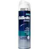 Піна для гоління Gillette Series Protection Захист 250 мл