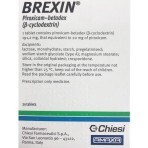 Брексін 20 мг таблетки блістер, №20: ціни та характеристики