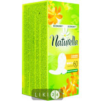 Прокладки ежедневные Naturella Calendula Tenderness Normal №60: цены и характеристики