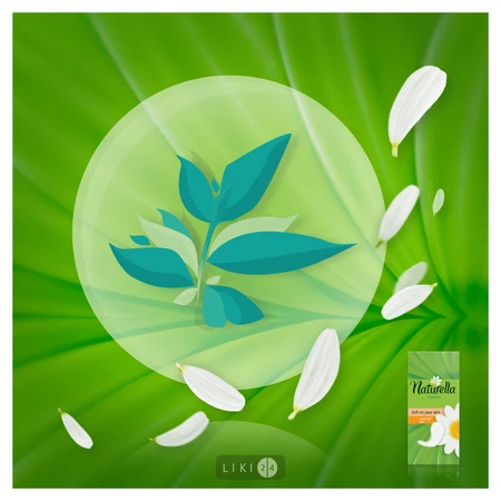 Прокладки ежедневные Naturella Green tea magic Normal №20: цены и характеристики