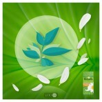 Прокладки щоденні Naturella Green tea magic Normal №20: ціни та характеристики