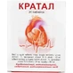 Кратал табл. блістер, в пачці №20