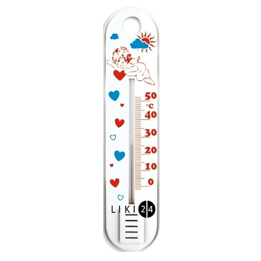 Термометр сувенир П-1: ціни та характеристики