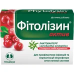 Фітолізин Актив капсули №10: ціни та характеристики