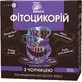 Фітоцикорій з чорницею 100 г
