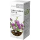 Фиточай "лопух большой корень" тм "naturalis" чай 50 г