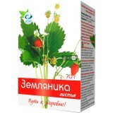 Чай травяной рассыпной Вертекс Земляника с витамином C 70 г
