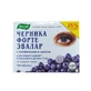 Черника-форте табл. 0,25 г, с витаминами и цинком №150