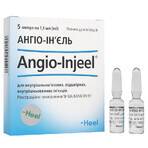 Ангио-Инъель р-р д/ин. амп. 1,1 мл №5: цены и характеристики