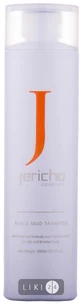 Шампунь Jericho Черная грязь, 300 г туба