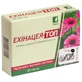 Эхинацея-Топ капсулы, №20