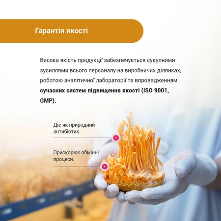 Кордицепс Супер капсулы №60 капсулы по 400 мг противовоспалительное, укрепление иммунитета, противовирусное, антиоксидантное, для энергии, от стресса: цены и характеристики