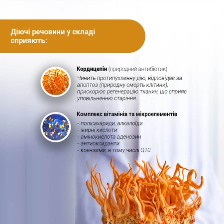 Кордицепс Супер капсулы №60 капсулы по 400 мг противовоспалительное, укрепление иммунитета, противовирусное, антиоксидантное, для энергии, от стресса: цены и характеристики