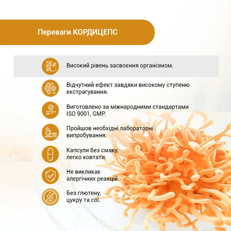 Кордицепс Супер капсулы №60 капсулы по 400 мг противовоспалительное, укрепление иммунитета, противовирусное, антиоксидантное, для энергии, от стресса: цены и характеристики