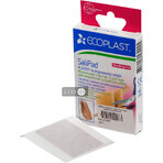 Пластырь мозольный Ecoplast SaliPad для удаления огрубевшей кожи 40 мм х 60 мм, 2 шт: цены и характеристики