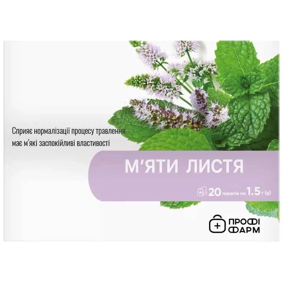 Фіточай ключі здоров'я №32 1,2 г пакет, м'ята №20: ціни та характеристики