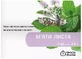 Фиточай ключи здоровья №32 1,2 г пакет, мята №20
